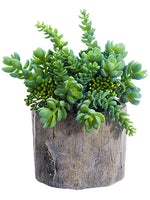 8.5" Succulent Garden in Cement Pot Green (pack of 2)