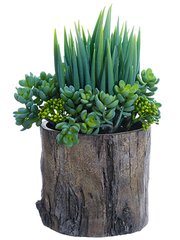 14" Succulent Garden in Cement Pot Green (pack of 2)