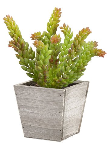 9.5" Soft PVC Sedum in Wood Planter Green (pack of 6)