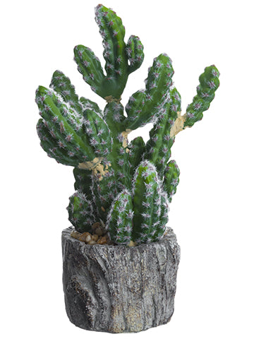 8.5" Cactus in Cement Planter  Green (pack of 6)