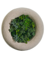 18" Succulent Garden Rope Frame Green (pack of 2)