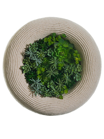 18" Succulent Garden Rope Frame Green (pack of 2)