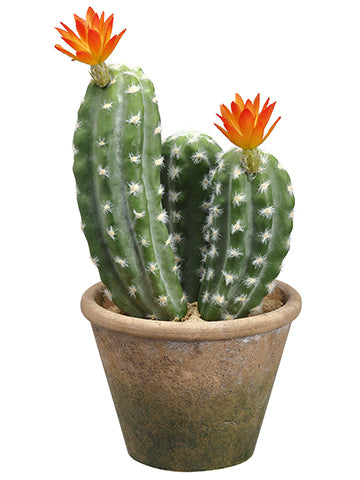 12.5" Flowering Column Cactus in Paper Mache Pot Green Orange (pack of 6)