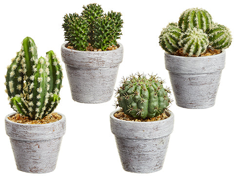 5-7.25" Cactus in Ceramic Pot (4 Styles/set) Two Tone Green (pack of 2)