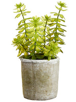 13" Soft Plastic Echeveria in Mgo Pot Green (pack of 1)