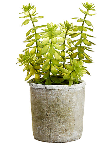 13" Soft Plastic Echeveria in Mgo Pot Green (pack of 1)
