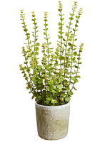 24" Soft Plastic Jade Plant in Mgo Pot Green (pack of 1)