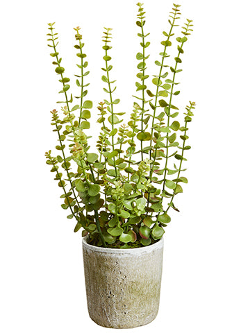 24" Soft Plastic Jade Plant in Mgo Pot Green (pack of 1)