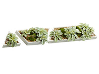4"-11.5" Succulent Garden in Cement Pot (3 Assortment/set) Green Gray (pack of 3)