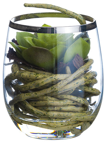 3.75" Echeveria/Roots in Glass Vase Green (pack of 6)