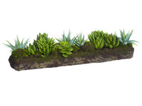 7.5"Hx20"L Succulent Garden With Soil And Moss Green (pack of 2)
