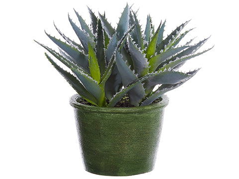 9.5" Agave Plant in Paper Mache Pot Green (pack of 6)