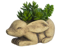 8" Succulent Garden in Bunny Planter Green (pack of 6)