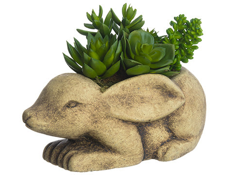 8" Succulent Garden in Bunny Planter Green (pack of 6)