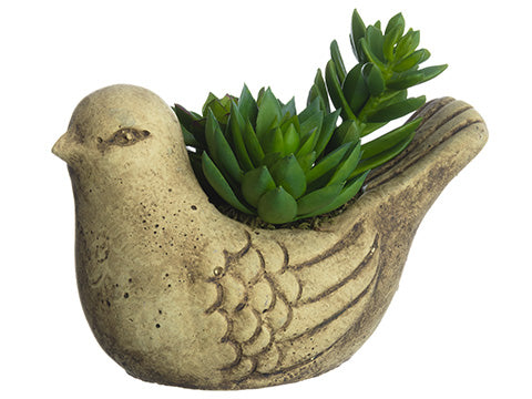6" Succulent Garden in Bird Planter Green (pack of 6)