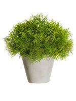 8" Soft PE Sprengeri Ball Topiary in Paper Mache Pot Green (pack of 4)