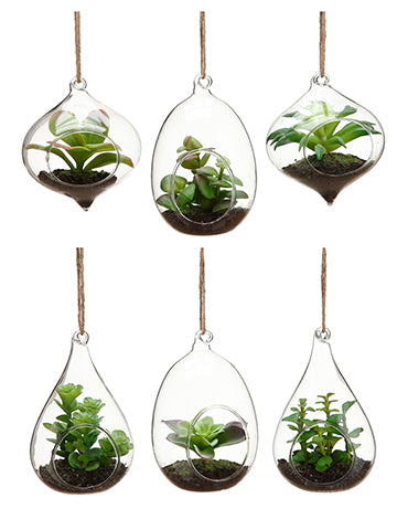 4"-5" Succulent Garden in Glass Finial (6 Styles Assorted ) Assortment (pack of 6)