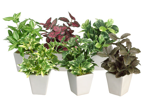 7.5" Assorted Greenery Arrangement in Ceramic Pot 6 Styles Green Burgundy (pack of 12)