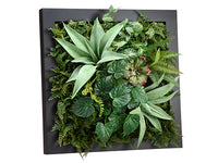 24"Wx24"L Agave/Fern/Succulent Wall Deco Green (pack of 1)