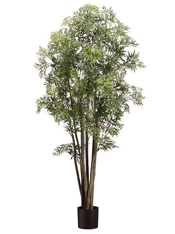 52" Aralia Tree in Pot With 140 Leaves Green (pack of 2)