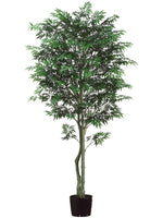 7' Aralia Tree w/Plastic Trunk & 3240 Leaves in Pot Green (pack of 1)