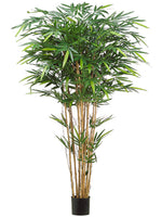 6' Tropical Bamboo Tree x12 w/1664 Leaves in Pot Green (pack of 2)