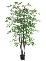 5' Black Bamboo Tree x7 with 1200 Leaves in Pot Green (pack of 2)