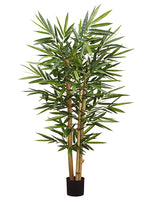 4' Bamboo Tree With 494 Leaves in Plastic Nursery Pot Green (pack of 2)