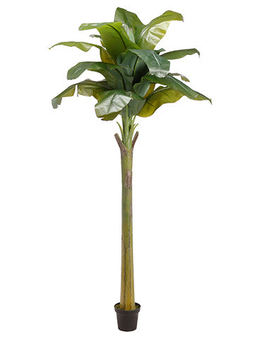 98" Banana Tree With 15 Leaves in Pot Green (pack of 2)