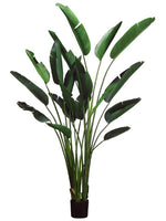93" Bird of Paradise Plant with 18 Leaves in Plastic Pot Green (pack of 2)