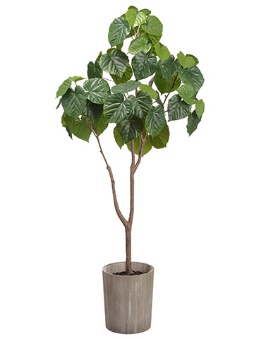 47.2" Catalpa Tree in Wood Planter Two Tone Green (pack of 2)