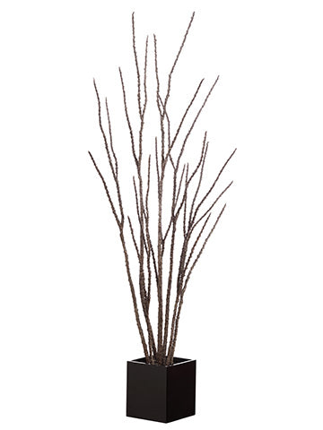 6' Camel Whip Twig Tree in Pot Brown (pack of 2)