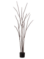5ft