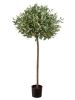 4' Eucalyptus Topiary Tree in Pot Frosted Green (pack of 2)