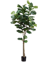 5' Fiddle Tree w/74 Lvs. in Plastic Pot Green (pack of 2)