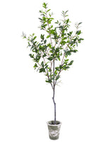 72" Laurel Tree in Clay Pot  Green (pack of 1)
