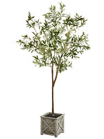 70.8" Olive Tree in Wood Planter Green (pack of 2)