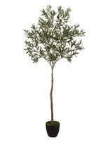 64" Olive Tree in Pot  Green (pack of 2)