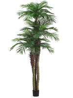 10'+8'+6' Tropical Area Palm Tree x3 w/1781 Leaves in Pot (Knock-Down Packing) Green (pack of 1)