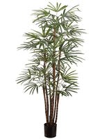 4' Palm Tree x7 in Pot 4/30-?????????? ?????????? Green (pack of 2)
