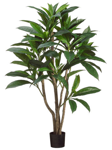 4' Plumeria Leaf Tree in Plastic Pot Two Tone Green (pack of 2)