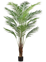 6' Areca Palm Tree x15 With 567 Leaves in Pot (knock-Down Packing ?) Green (pack of 2)