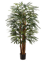 4' Hawaiian Rhapis Palm Tree in Pot Green (pack of 2)