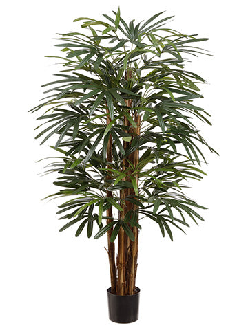 4' Hawaiian Rhapis Palm Tree in Pot Green (pack of 2)