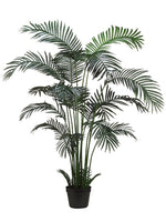 6' Areca Palm Tree x18 in Plastic Pot Green (pack of 2)