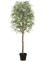 60" Wisteria Tree in Plastic Planter Green (pack of 1)