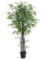 5' Black Bamboo Tree w/1280 Leaves in Black Plastic Pot Black (pack of 1)