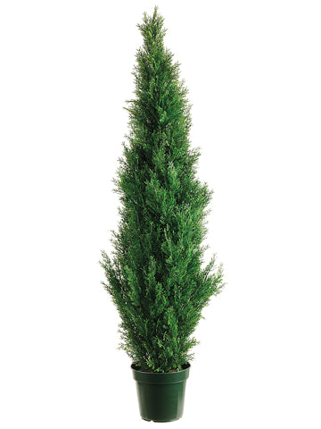 60" Cedar Topiary x1565 w/Pot (Knock-Down Packing) Green (pack of 1)