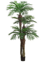 9'+7'+5' Tropical Area Palm Tree x3 With 1364 Leaves in Pot (knock-Down Packing) Green (pack of 1)
