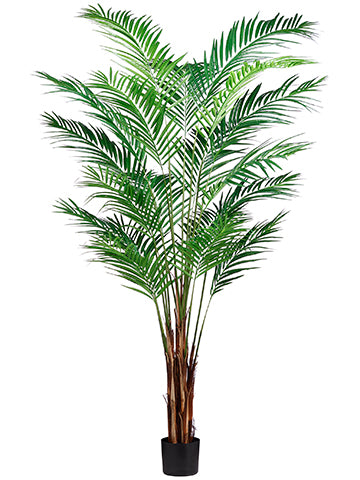 7' Areca Palm Tree x19 With 739 Leaves in Pot (knock-Down Packing) Green (pack of 1)
